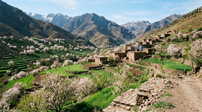 Best Time to Visit Morocco - Spring in Atlas Mountain Valley Spring blooming almond trees and stone houses in Morocco Atlas valley
