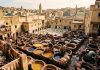 Fes Travel Guide: Complete Guide to Morocco’s Cultural Capital Aerial documentary view of Chouara Tannery round stone dye vats in Fes el-Bali Morocco