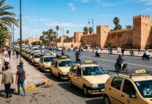 Getting Around Marrakech: Complete Local Transport & Taxi Guide Iconic beige Petit Taxis lined up in Marrakech with palm trees and clay city walls