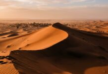 Merzouga Travel Guide: Gateway to Morocco’s Erg Chebbi Dunes Sweeping sunrise over towering orange sand dunes of Merzouga Erg Chebbi
