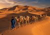 10 Days in Morocco: The Ultimate Itinerary (Imperial Cities to the Sahara) Camel caravan crossing golden sand dunes of Erg Chebbi in Merzouga Morocco at sunset