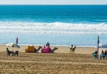 Visiting Agadir in Morocco? Sights, Beaches & Prices 2026 Agadir in Morocco