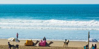 Visiting Agadir in Morocco? Sights, Beaches & Prices 2026 Agadir in Morocco