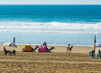 Visiting Agadir in Morocco? Sights, Beaches & Prices 2026 Agadir in Morocco