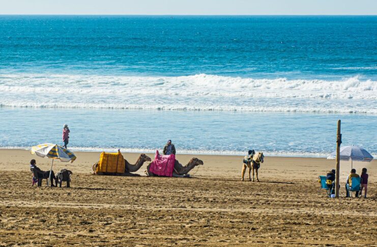 Visiting Agadir in Morocco? Sights, Beaches & Prices 2026 Agadir in Morocco