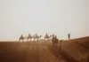 Best Places to Visit in Morocco: 20 Amazing Cities, Deserts and Coastal Escapes Camel trek across the Sahara dunes, one of the best places to visit in Morocco