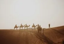 Best Places to Visit in Morocco: 20 Amazing Cities, Deserts and Coastal Escapes Camel trek across the Sahara dunes, one of the best places to visit in Morocco