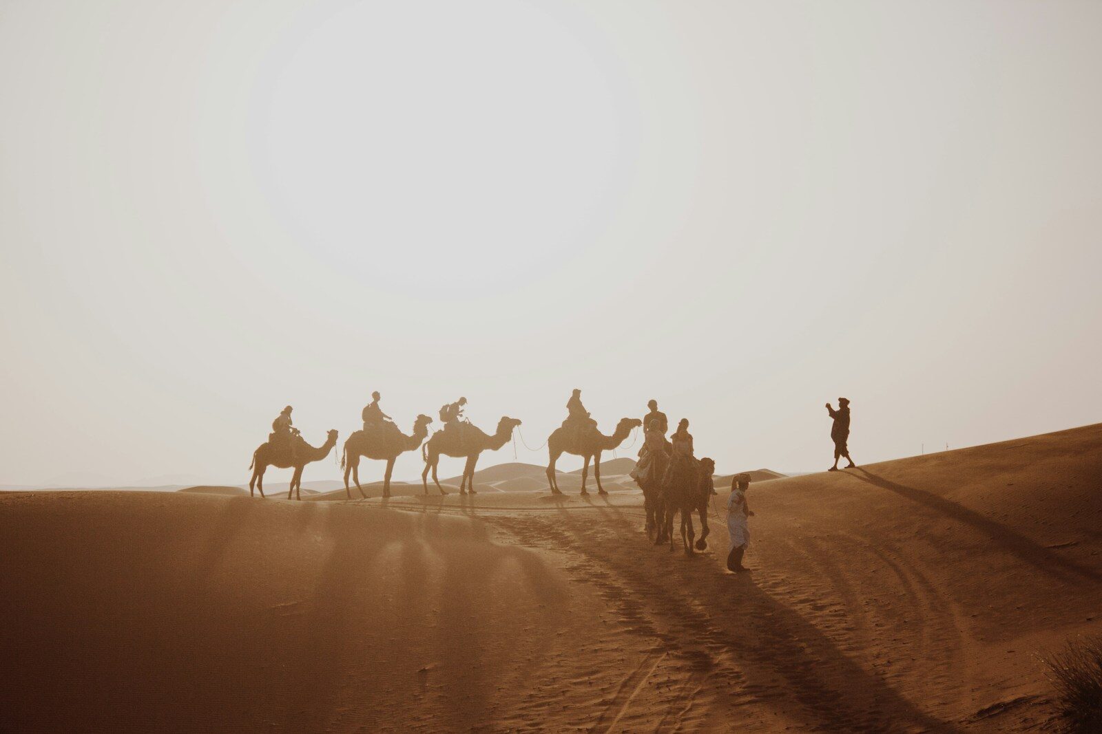 Camel caravan in the dunes on a desert tour from Marrakech to Merzouga