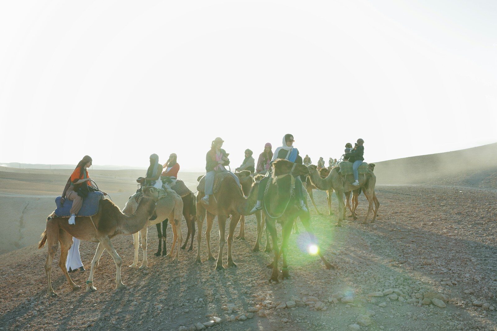 Camel ride during excursions in the Agafay desert Morocco