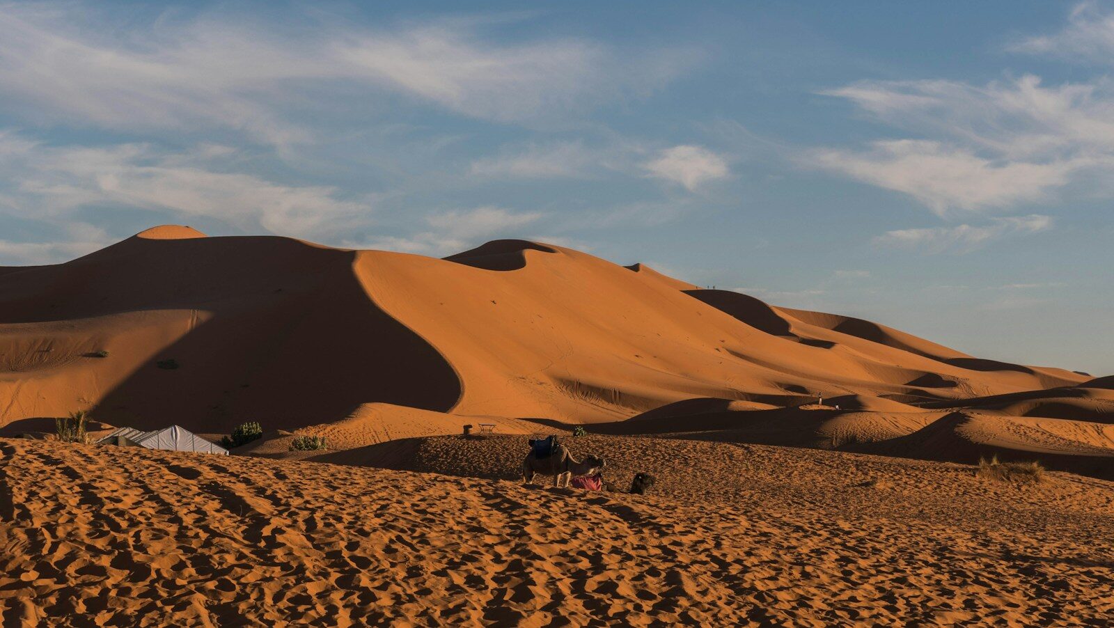 Travelers sitting on top of a sand dune in the Moroccan desert
