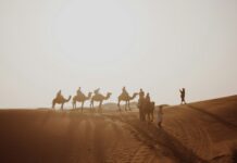 Morocco Itinerary: 6 Perfect Routes From 5 Days to 3 Weeks Morocco itinerary highlight: camel caravan crossing the Erg Chebbi dunes near Merzouga