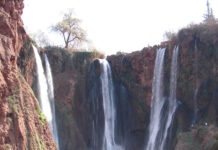 Ouzoud Waterfall Guide: How to Visit Morocco’s 110-Meter Falls Ouzoud waterfall plunging 110 meters into the El Abid gorge in Morocco