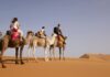 Morocco Desert Tour Guide: Agafay, 3-Day Merzouga & 5-Day Marrakech to Fes Compared (2026) Camel caravan crossing the Erg Chebbi dunes near Merzouga at sunset on a Morocco desert tour