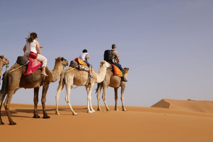 Morocco Desert Tour Guide: Agafay, 3-Day Merzouga & 5-Day Marrakech to Fes Compared (2026) Camel caravan crossing the Erg Chebbi dunes near Merzouga at sunset on a Morocco desert tour