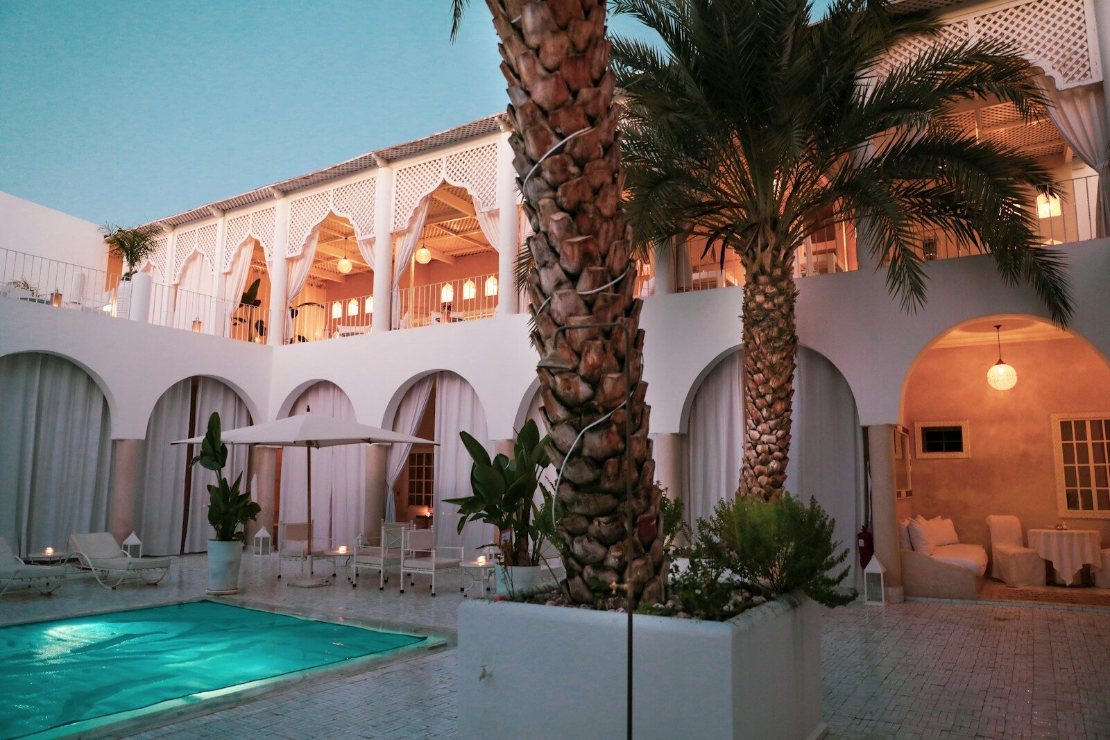 Riads in Marrakech: a courtyard plunge pool shaded by a palm tree