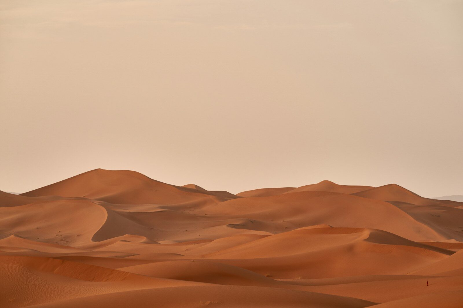 Rolling Sahara sand dunes, unlike the stone landscape of the Agafay desert